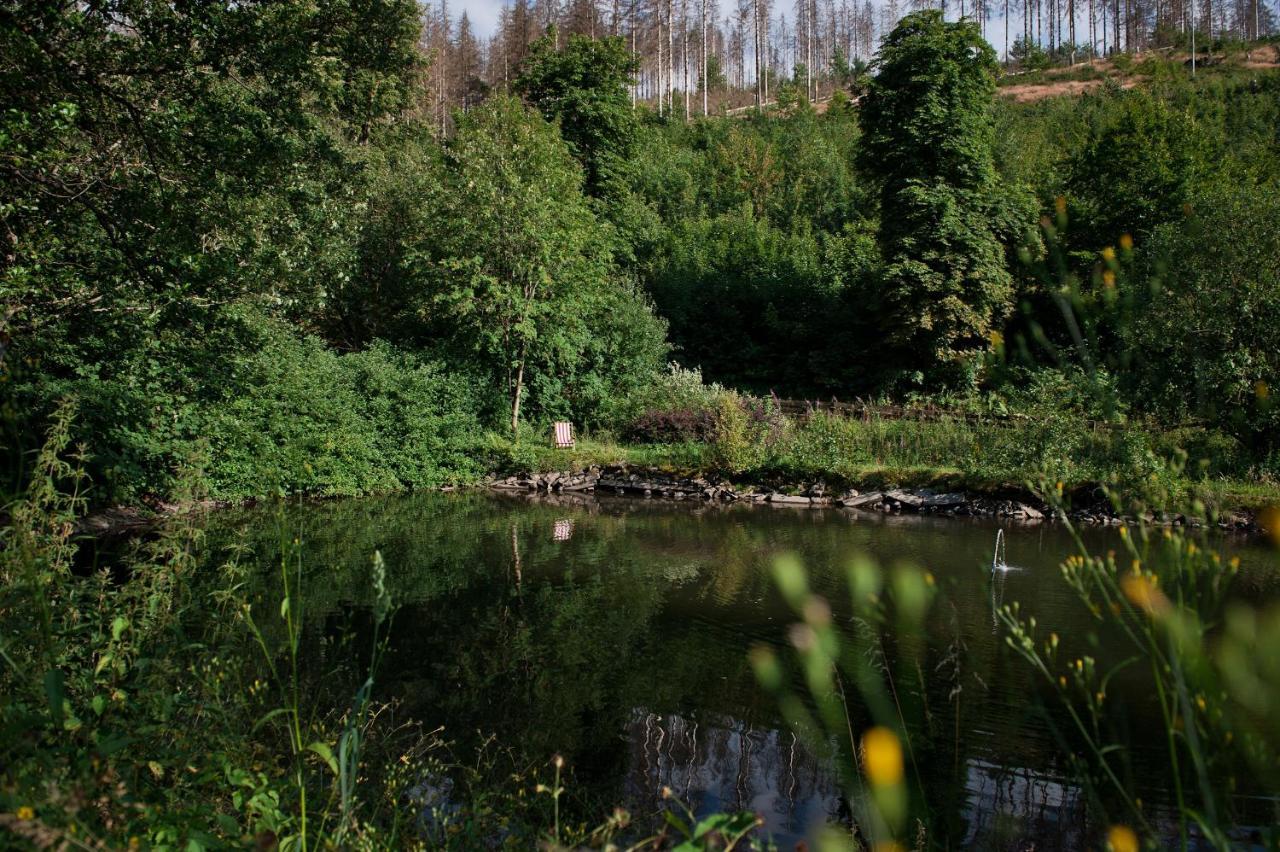 Tiny House Nature 17 - Green Tiny Village Harz Osterode am Harz エクステリア 写真