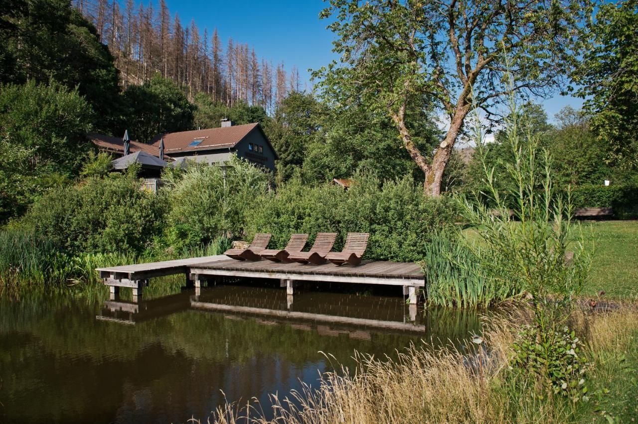 Tiny House Nature 17 - Green Tiny Village Harz Osterode am Harz エクステリア 写真