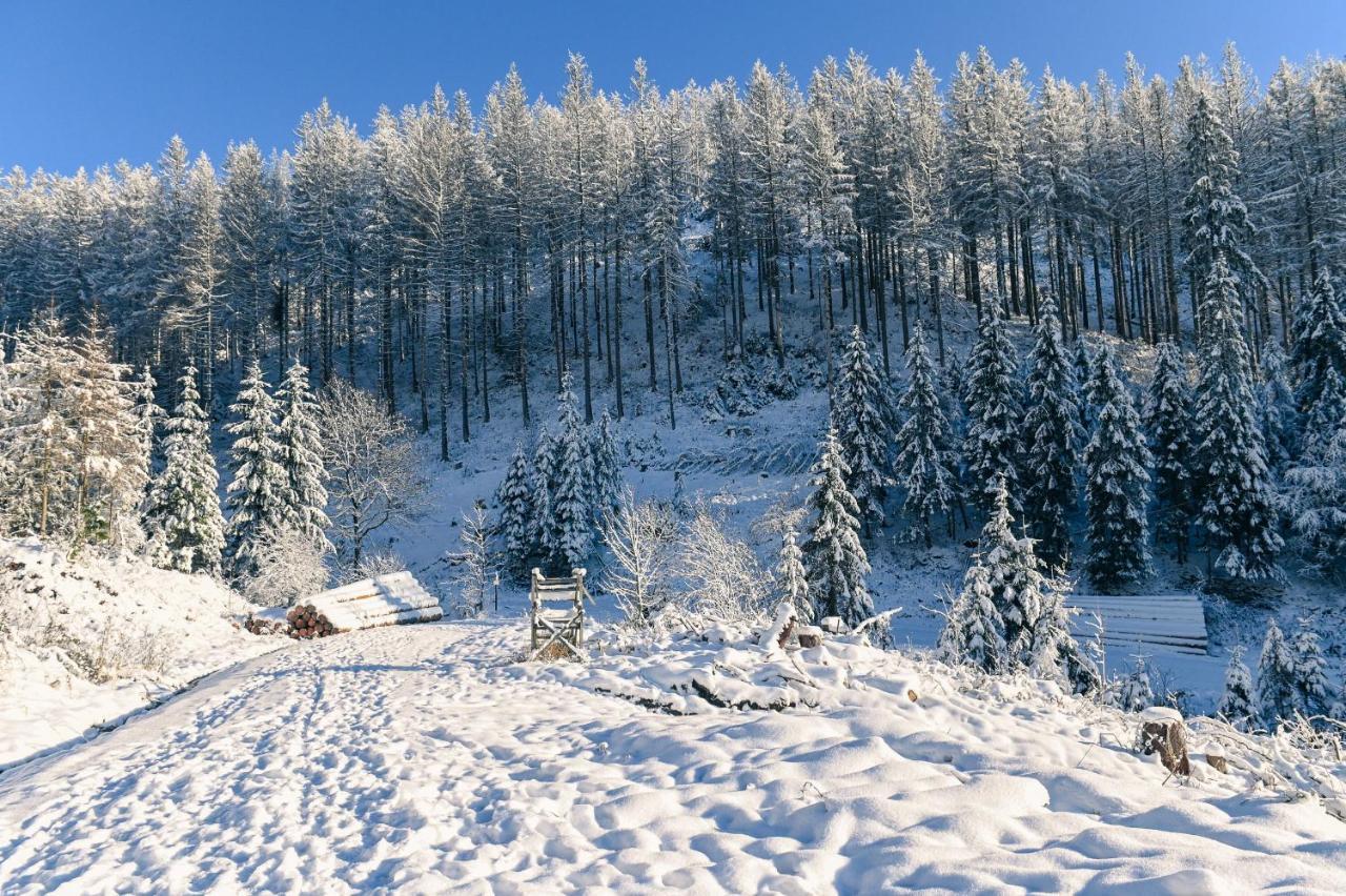 Tiny House Nature 17 - Green Tiny Village Harz Osterode am Harz エクステリア 写真
