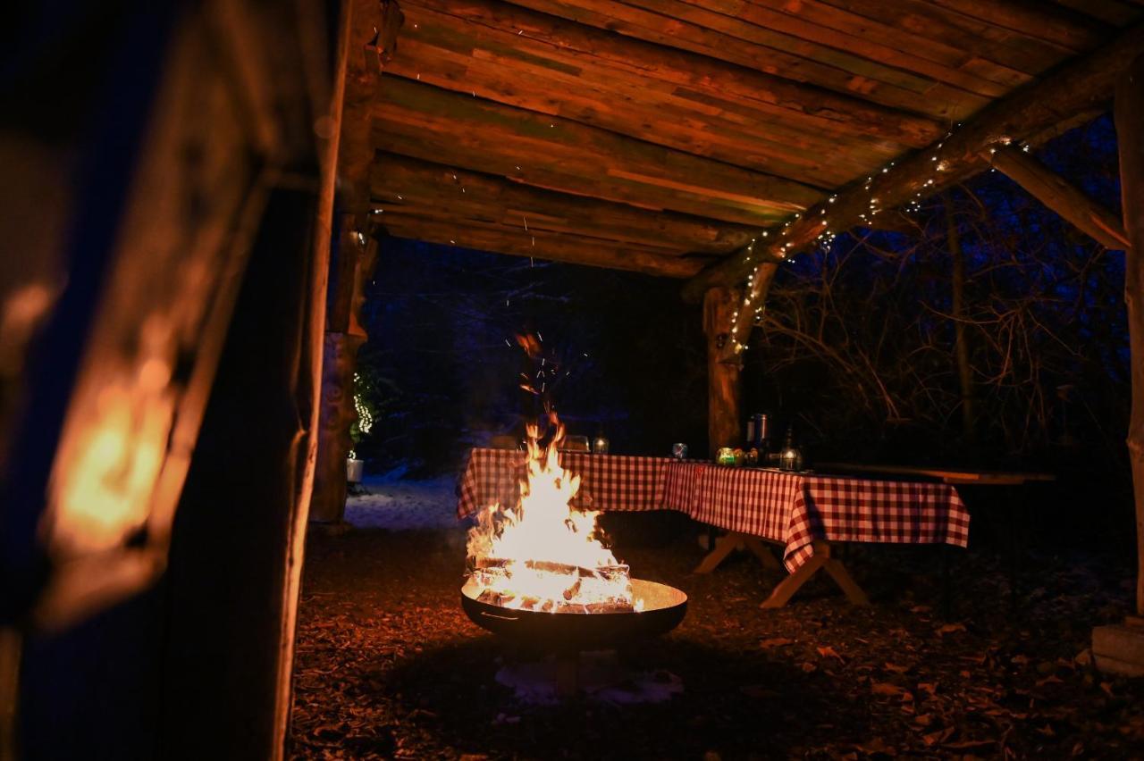 Tiny House Nature 17 - Green Tiny Village Harz Osterode am Harz エクステリア 写真